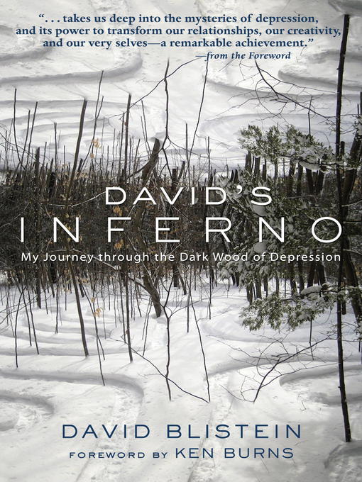 Title details for David's Inferno by David Blistein - Available